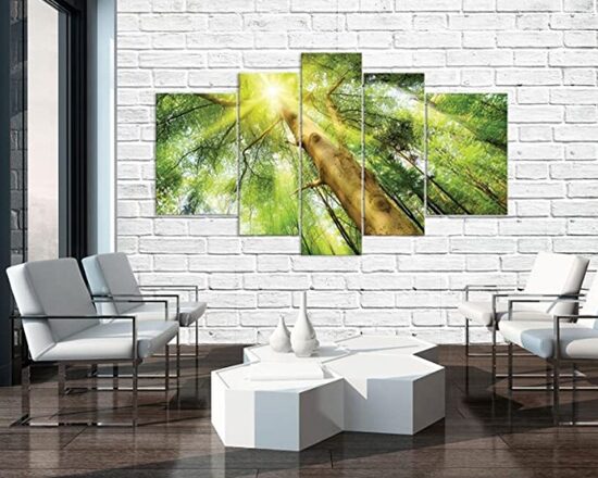 MULTIPANEĻU KANVA (5 daļīgas 100x170 cm)